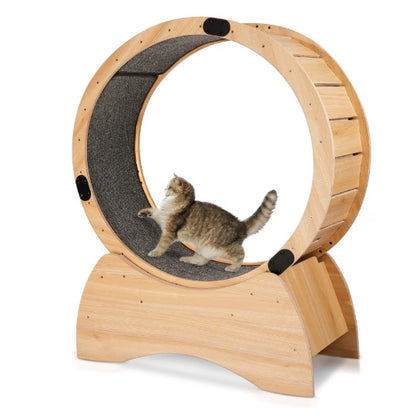 Nexzens™ Cat Treadmill