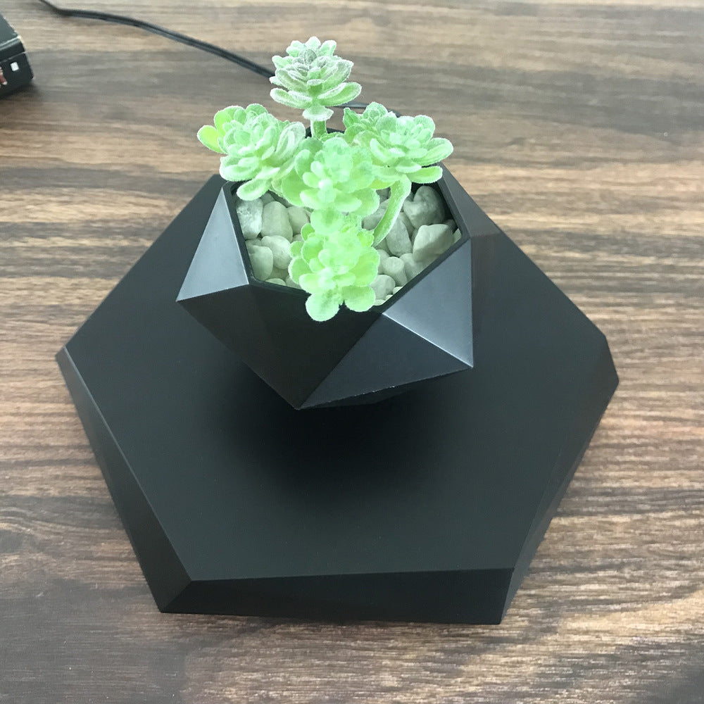 Nexzens™ Floating Flower Pot