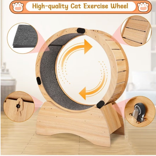 Nexzens™ Cat Treadmill