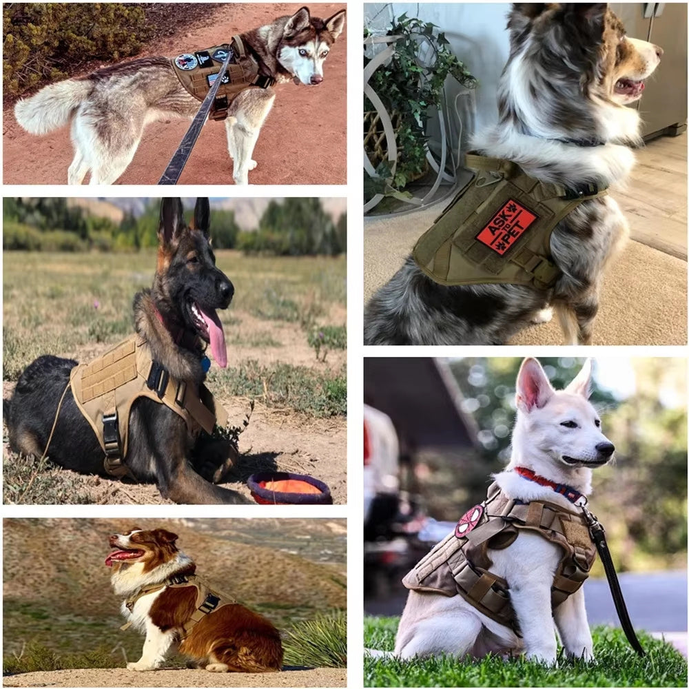 Nexzens™ Tactical Dog Harness & Leash Set