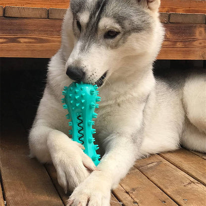 Nexzens™ Dog Cleaning Chew Toy